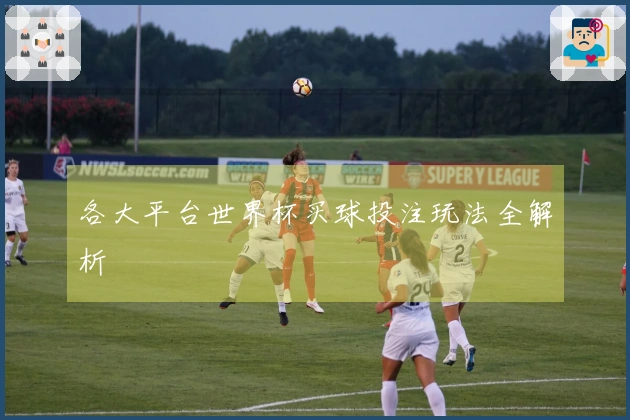 各大平台世界杯买球投注玩法全解析