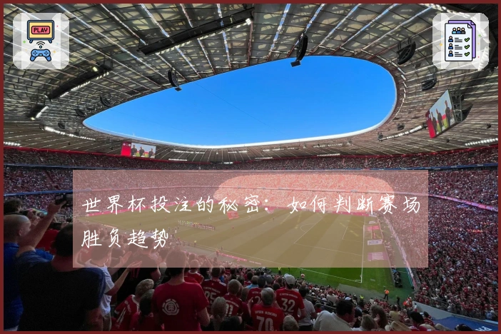 世界杯投注的秘密:如何判断赛场胜负趋势