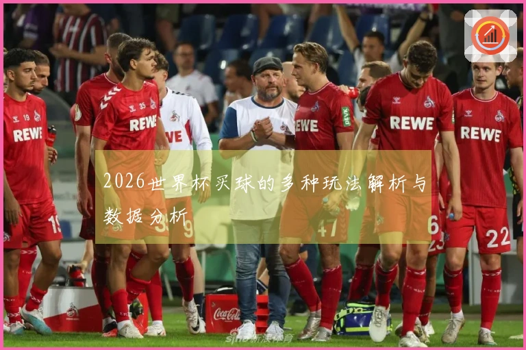 2026世界杯买球的多种玩法解析与数据分析