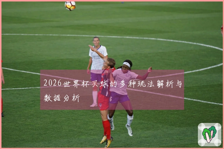 2026世界杯买球的多种玩法解析与数据分析